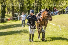 Impressionen Radolfzell April 2019