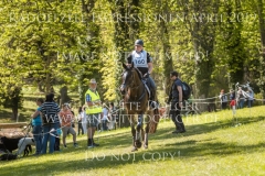 Impressionen Radolfzell April 2019