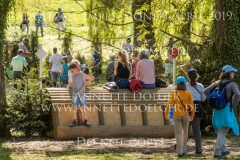 Impressionen Radolfzell April 2019