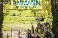 Impressionen Radolfzell April 2019