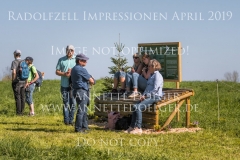 Impressionen Radolfzell April 2019