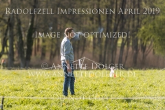 Impressionen Radolfzell April 2019