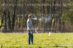 Impressionen Radolfzell April 2019