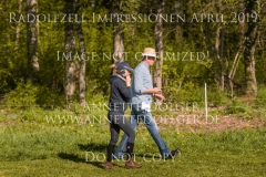 Impressionen Radolfzell April 2019