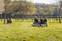 Impressionen Radolfzell April 2019