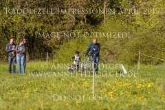 Impressionen Radolfzell April 2019