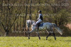 Impressionen Radolfzell April 2019