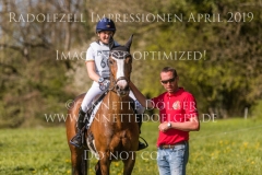 Impressionen Radolfzell April 2019