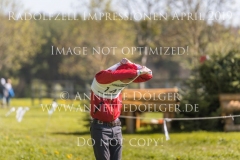 Impressionen Radolfzell April 2019