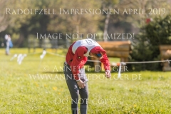 Impressionen Radolfzell April 2019