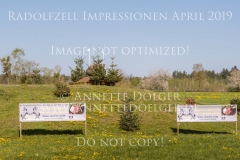 Impressionen Radolfzell April 2019