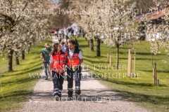 Impressionen Radolfzell April 2019