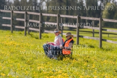Impressionen Radolfzell April 2019