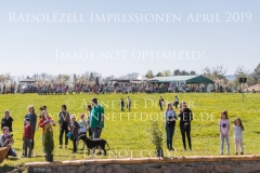Impressionen Radolfzell April 2019