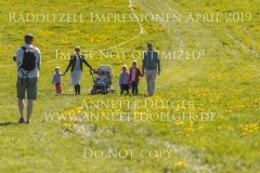 Impressionen Radolfzell April 2019