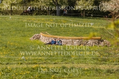 Impressionen Radolfzell April 2019