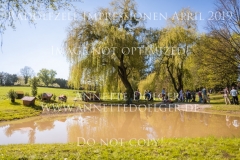 Impressionen Radolfzell April 2019