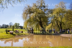 Impressionen Radolfzell April 2019