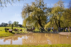 Impressionen Radolfzell April 2019