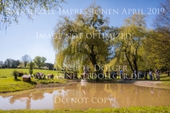 Impressionen Radolfzell April 2019