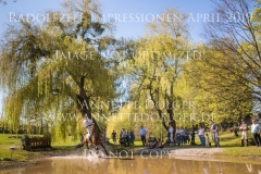 Impressionen Radolfzell April 2019