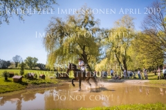 Impressionen Radolfzell April 2019