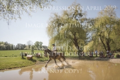 Impressionen Radolfzell April 2019