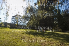 Impressionen Radolfzell April 2019