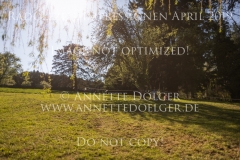 Impressionen Radolfzell April 2019