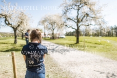 Impressionen Radolfzell April 2019