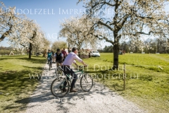 Impressionen Radolfzell April 2019