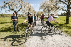 Impressionen Radolfzell April 2019