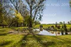 Impressionen Radolfzell April 2019