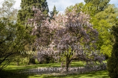 Impressionen Radolfzell April 2019