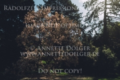 Impressionen Radolfzell April 2019