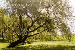 Impressionen Radolfzell April 2019