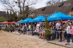 Impressionen Radolfzell April 2019