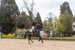 Impressionen Radolfzell April 2019