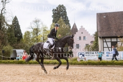 Impressionen Radolfzell April 2019