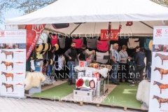 Impressionen Radolfzell April 2019