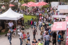 Impressionen Radolfzell April 2019