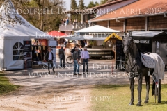 Impressionen Radolfzell April 2019