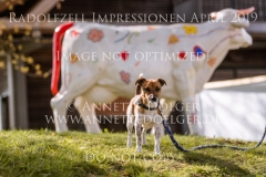 Impressionen Radolfzell April 2019