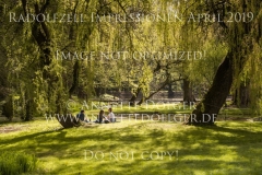 Impressionen Radolfzell April 2019