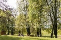 Impressionen Radolfzell April 2019