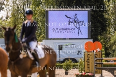 Impressionen Radolfzell April 2019