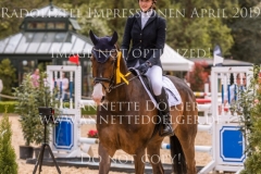 Impressionen Radolfzell April 2019