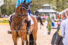 Impressionen Radolfzell April 2019