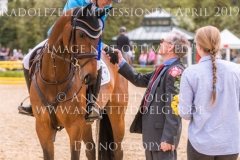 Impressionen Radolfzell April 2019