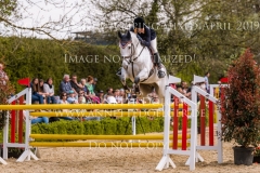 Careless Cricket Sophie PRITSCHAU Radolfzell April 2019